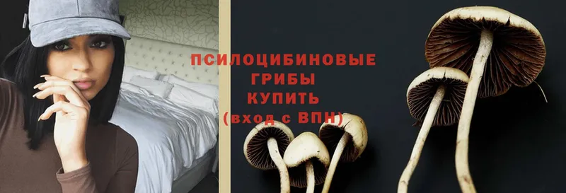 Псилоцибиновые грибы Psilocybine cubensis  ссылка на мегу ссылка  Северская 